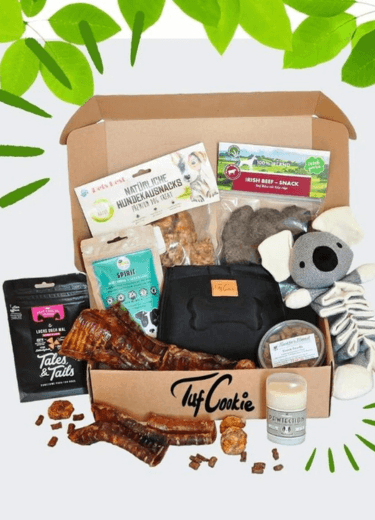 pet food and treats poster with green leaves background