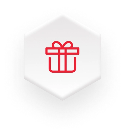 red gift box on white hexagon icon on a fulfillment website