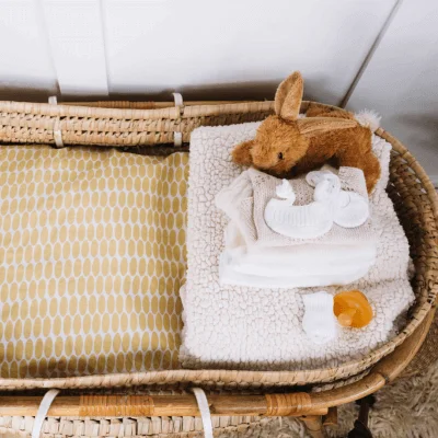 baby blanket and basket